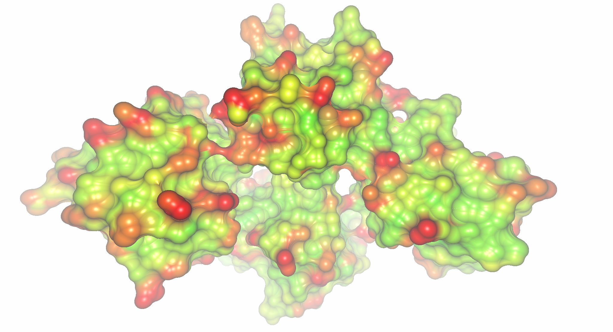 Molecular surface colored by temp-factors.